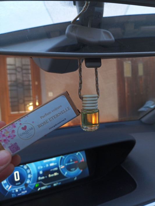 🚗 Parfum Voiture Rétroviseur